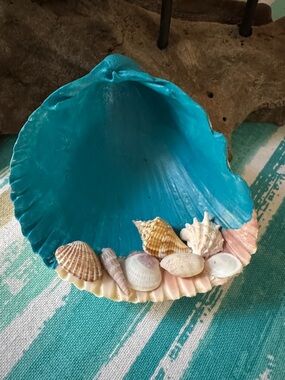 Seashell Decor